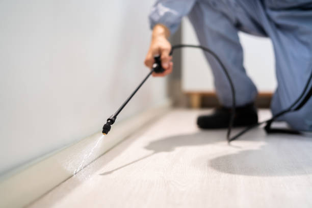 Licensed Cockroach Control service in White Cloud, MI - Nex Pest Control