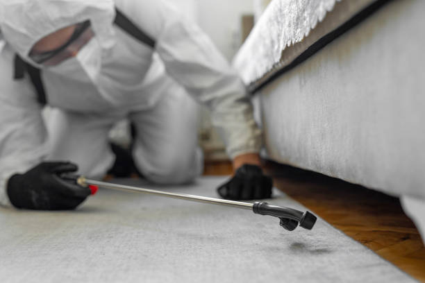 Professional Cockroach Control technician working in White Cloud, MI