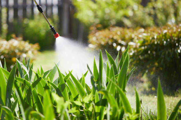 24/7 Emergency Cockroach Control experts in White Cloud, MI