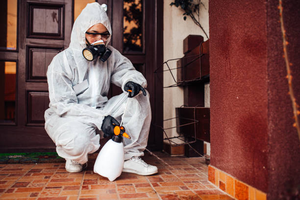 Reliable Cockroach Control contractor in White Cloud, MI by Nex Pest Control