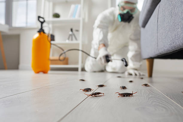 Affordable Cockroach Control solutions in White Cloud, MI