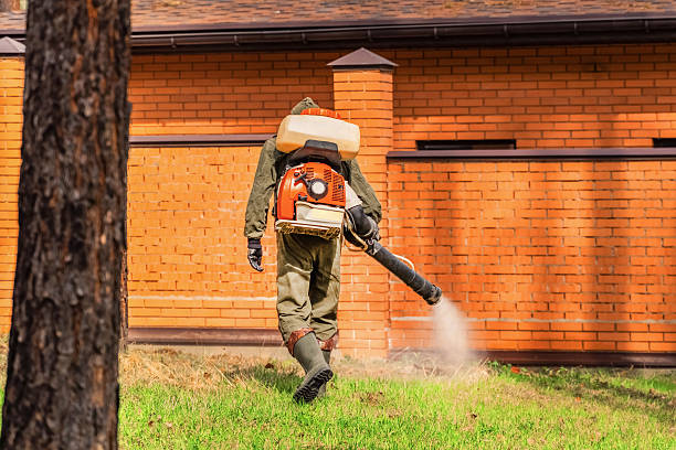 Top rated local Cockroach Control specialists in White Cloud, MI